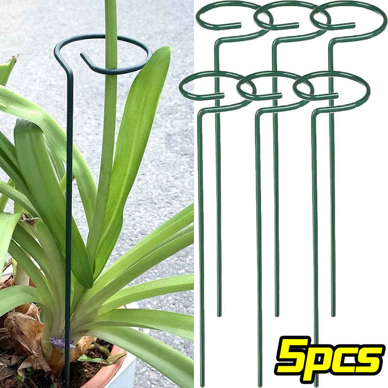 Plant Support Stake - Anillo de estaca de soporte para