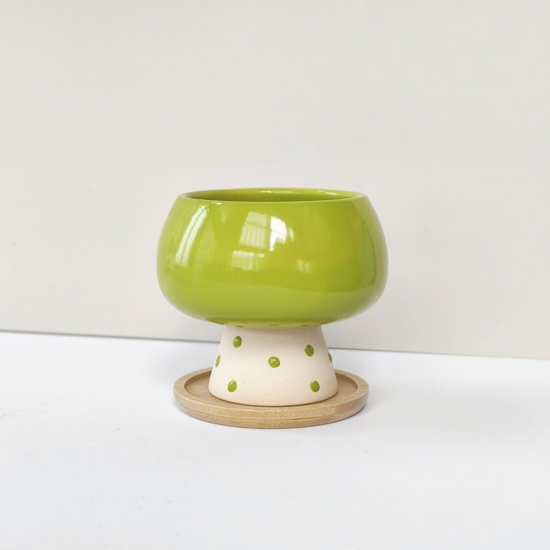 Snake Plant Ceramic - Maceta de Cerámica Minimalista y Elegante