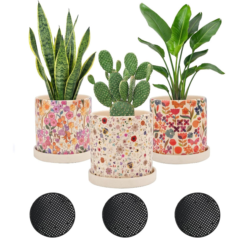 Snake Plant Ceramic - 3 Macetas de Cerámica Florales con