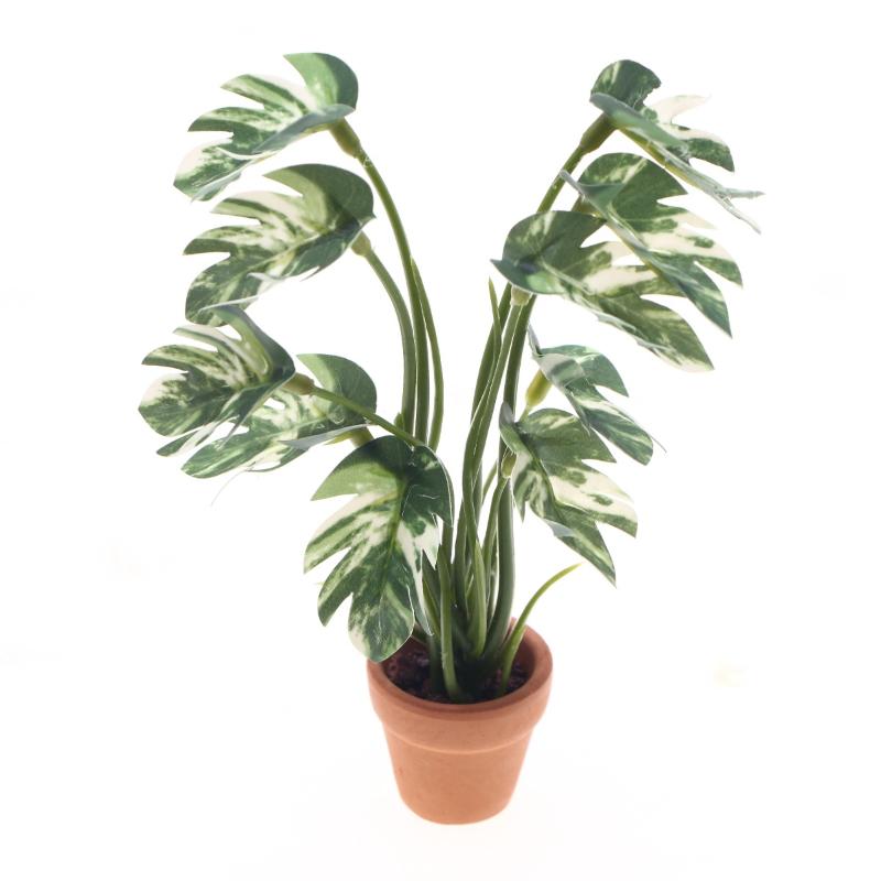Pothos - Nuevo. 1 unidad. Planta verde de