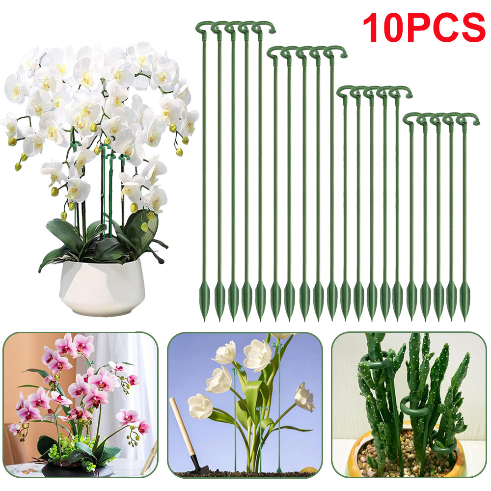 Plant Support Stake - Estacas de Soporte para Plantas (5/10