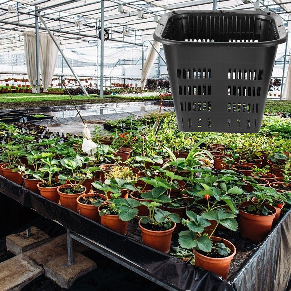 15 macetas con sistema de cont - Indoor Plants reseña y precio