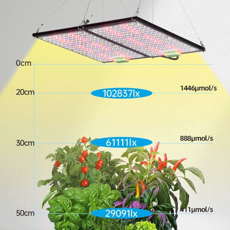 Lámpara de Cultivo LED Quantum - Indoor Plants reseña y precio
