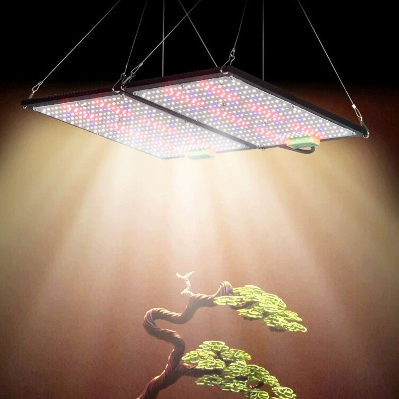 Lámpara de Cultivo LED Quantum - Indoor Plants reseña y precio