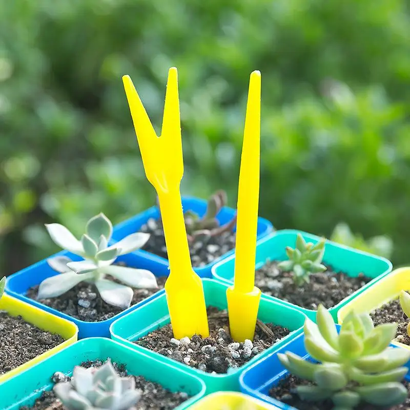 1/10 Uds. Semina de suculentas - Succulent Set reseña y precio