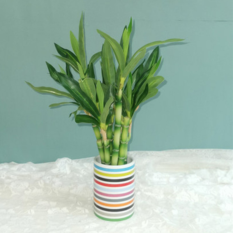 Nueva Planta Artificial de Bam - Snake Plant reseña y precio