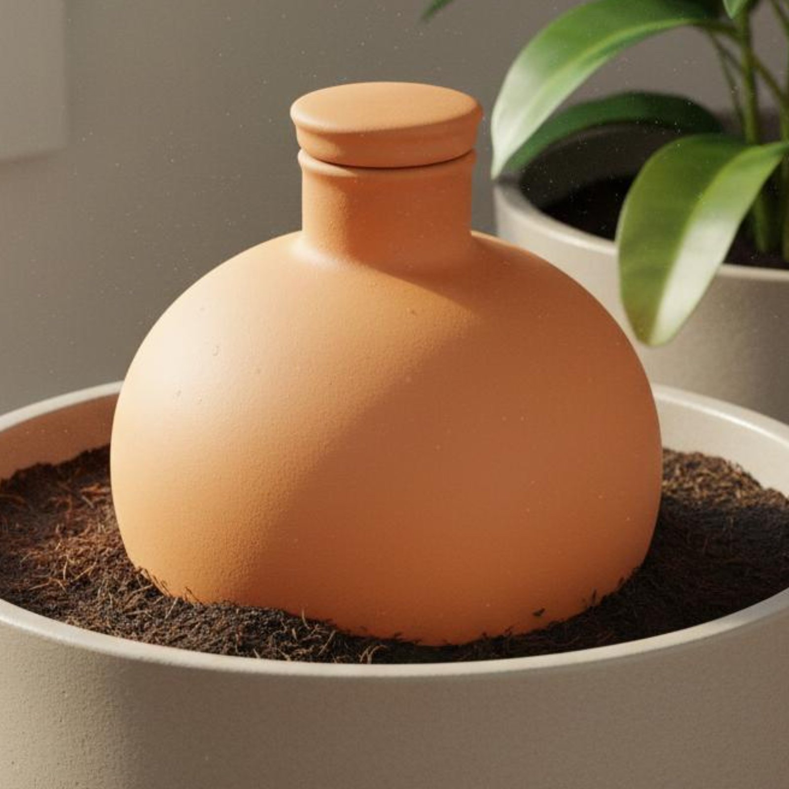 2 Piezas de Olla de Terracota  - Terracotta Pot reseña y precio