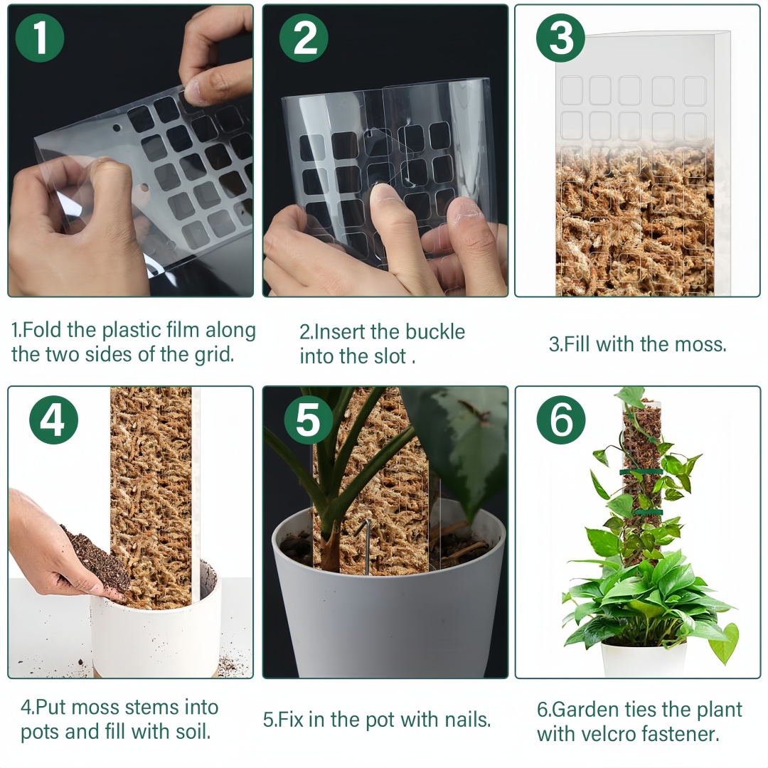Poste de musgo, soporte de plá - Plant Support Stake reseña y precio