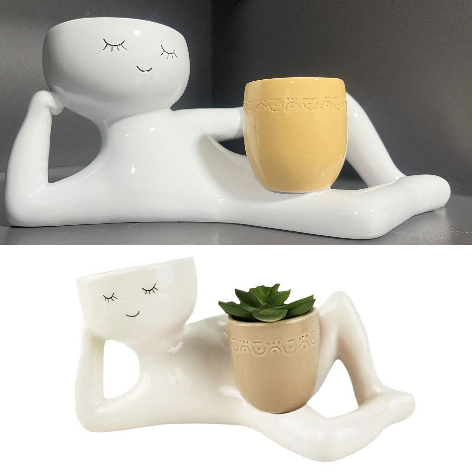 Maceta suculenta creativa, mac - Pothos reseña y precio