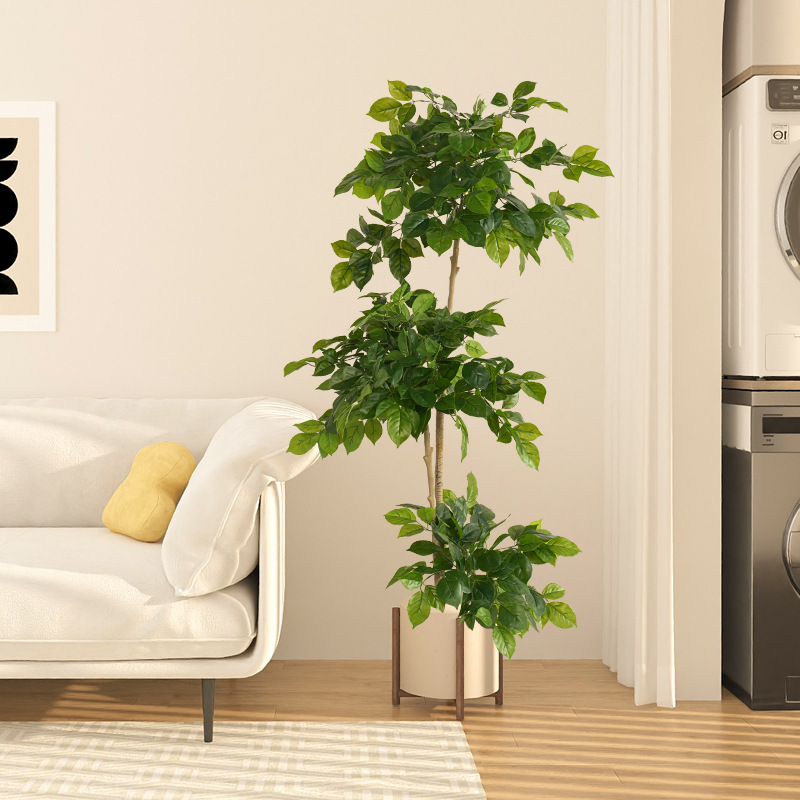 Plantas falsas grandes de 2-78 - Fiddle Leaf Fig reseña y precio