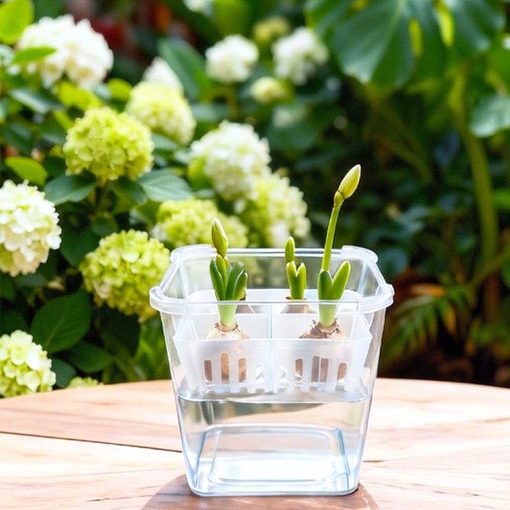 Jarrón hidropónico para tulipa - Indoor Plants reseña y precio