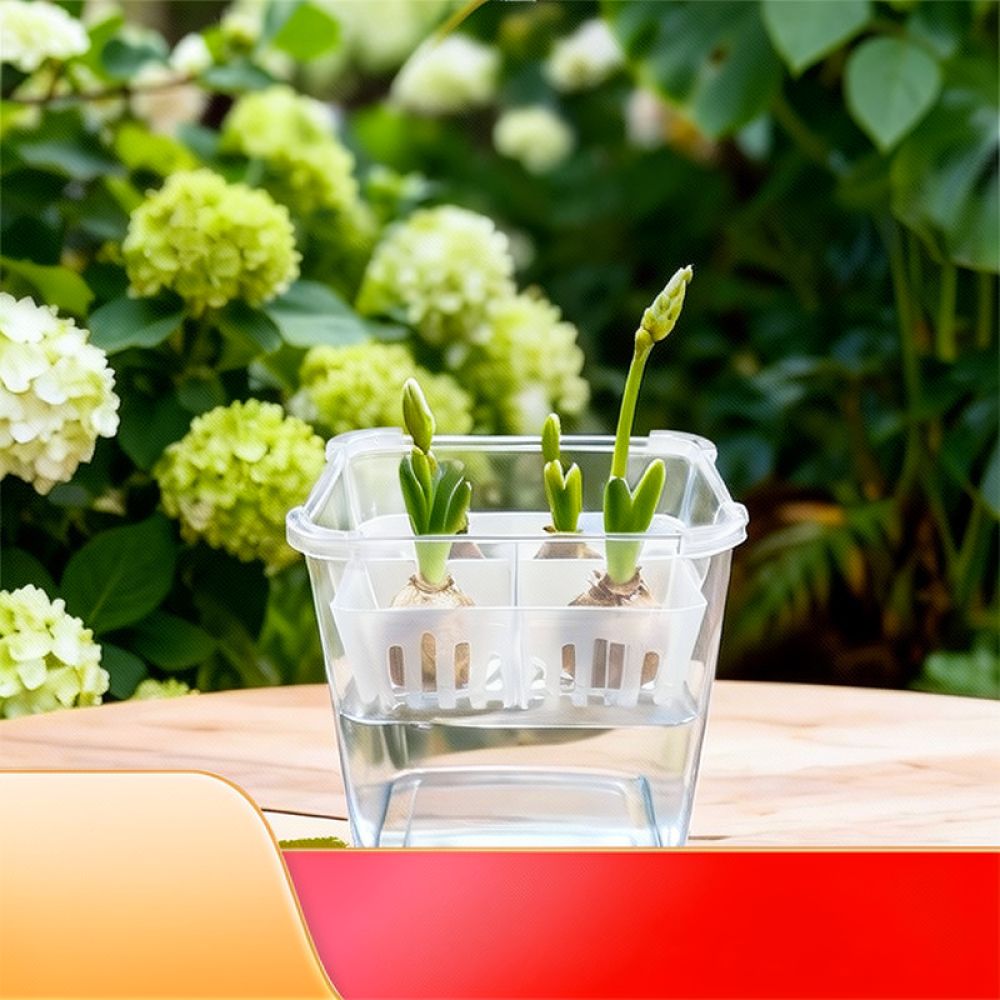 Jarrón hidropónico para tulipa - Indoor Plants reseña y precio