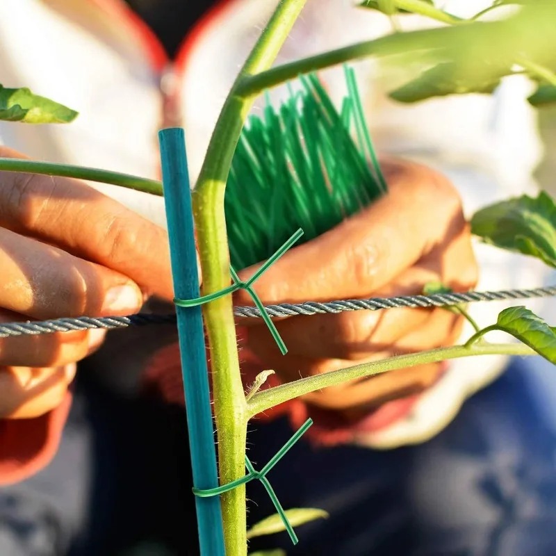 Varillas de Soporte para Plant - Plant Support Stake reseña y precio