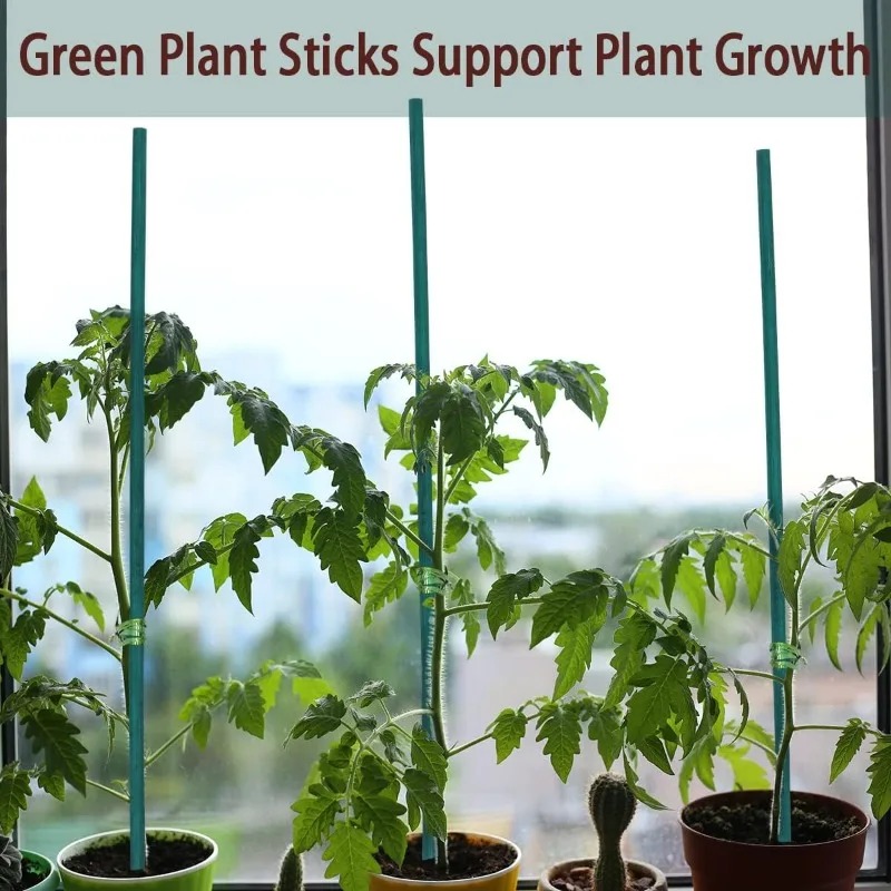 Varillas de Soporte para Plant - Plant Support Stake reseña y precio