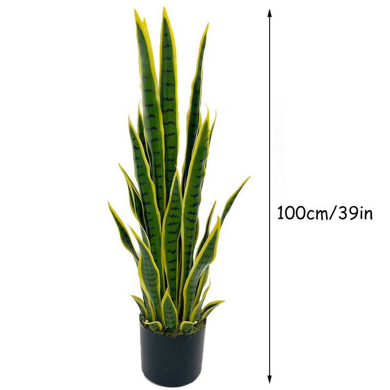 Planta de Sansevieria Artifici - Fiddle Leaf Fig reseña y precio