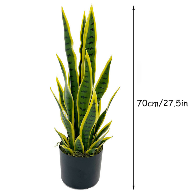 Planta de Sansevieria Artifici - Fiddle Leaf Fig reseña y precio