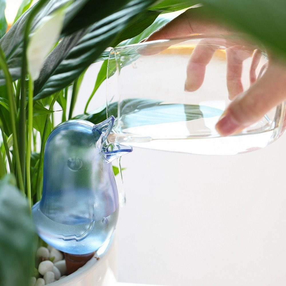 Dispositivo de Riego Automátic - Pothos reseña y precio