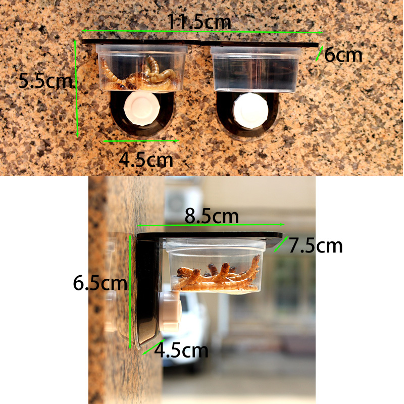 Accesorios para tanque de rept - Snake Plant reseña y precio