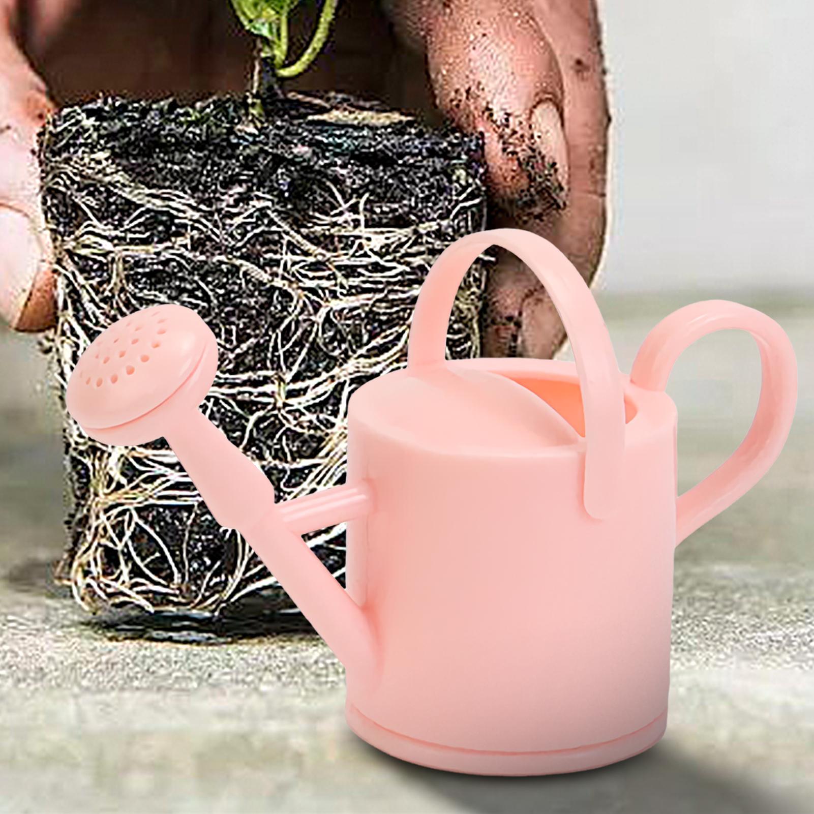 Regadera pequeña para niños, r - Pothos reseña y precio