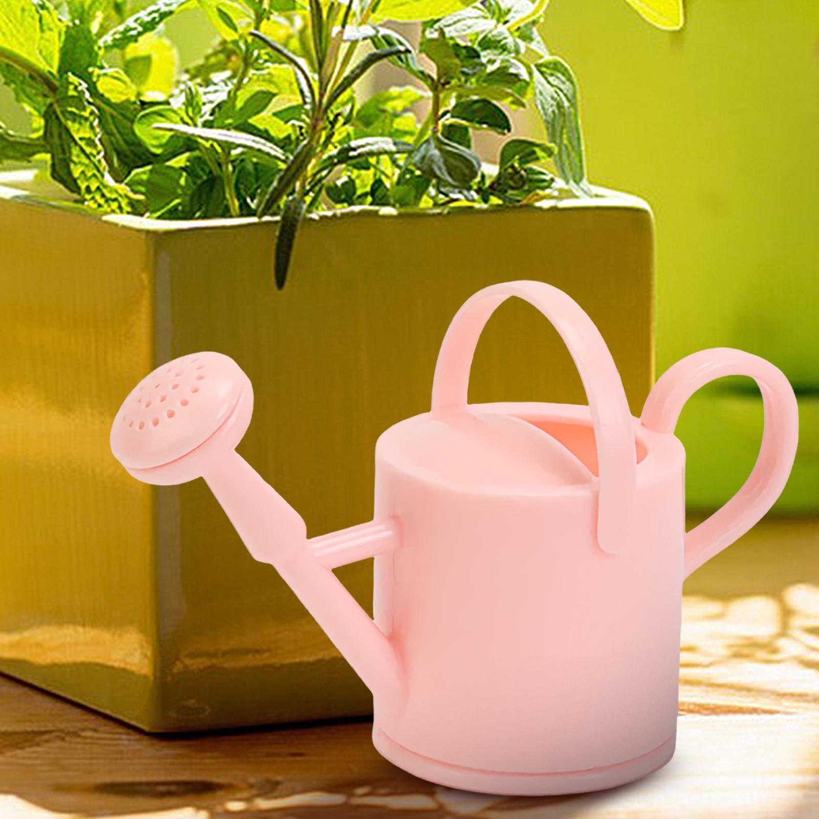 Regadera pequeña para niños, r - Pothos reseña y precio