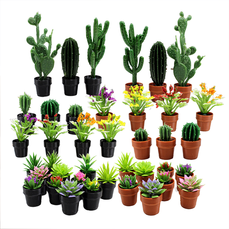 8 plantas en macetas de plásti - Succulent Set reseña y precio