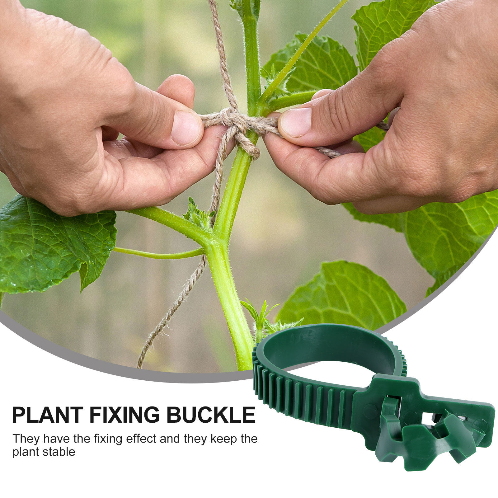 20 Piezas de Hebillas de Fijac - Plant Support Stake reseña y precio