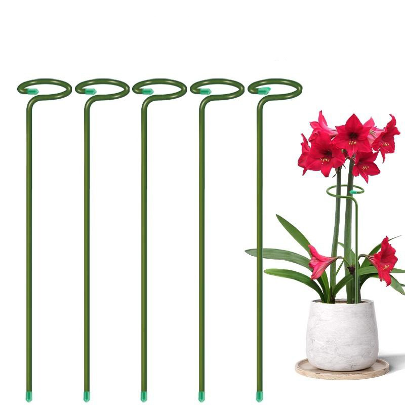 Soporte de arbustos para plant - Plant Support Stake reseña y precio