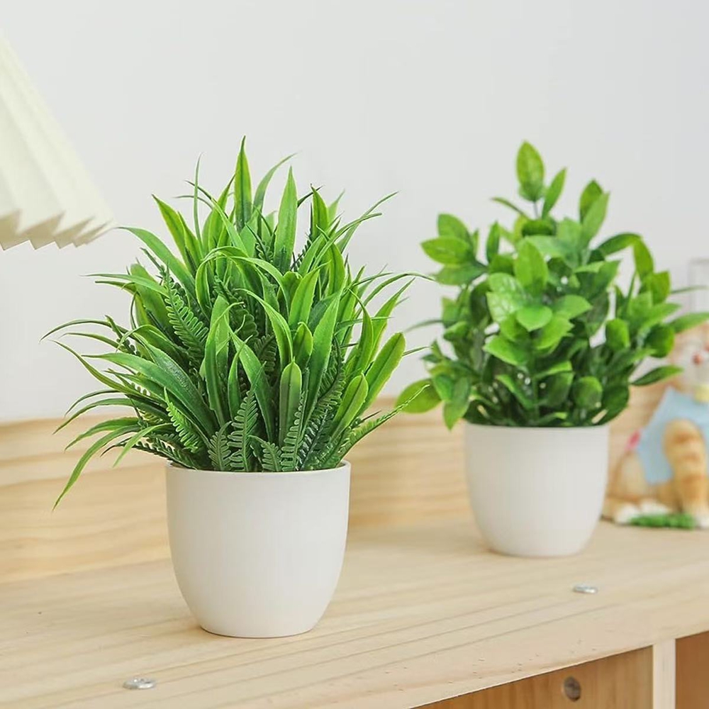 Juego de 4 Mini Plantas Artifi - Succulent Set reseña y precio
