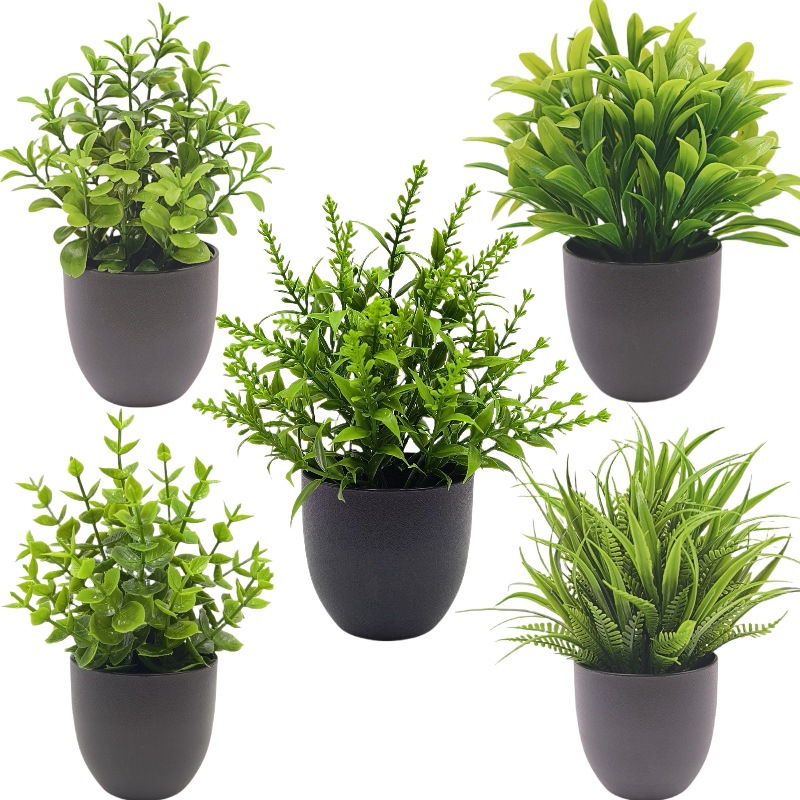 Bonsái de Planta Verde Simulad - Succulent Set reseña y precio