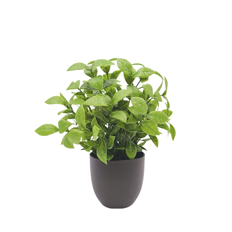Bonsái de Planta Verde Simulad - Succulent Set reseña y precio