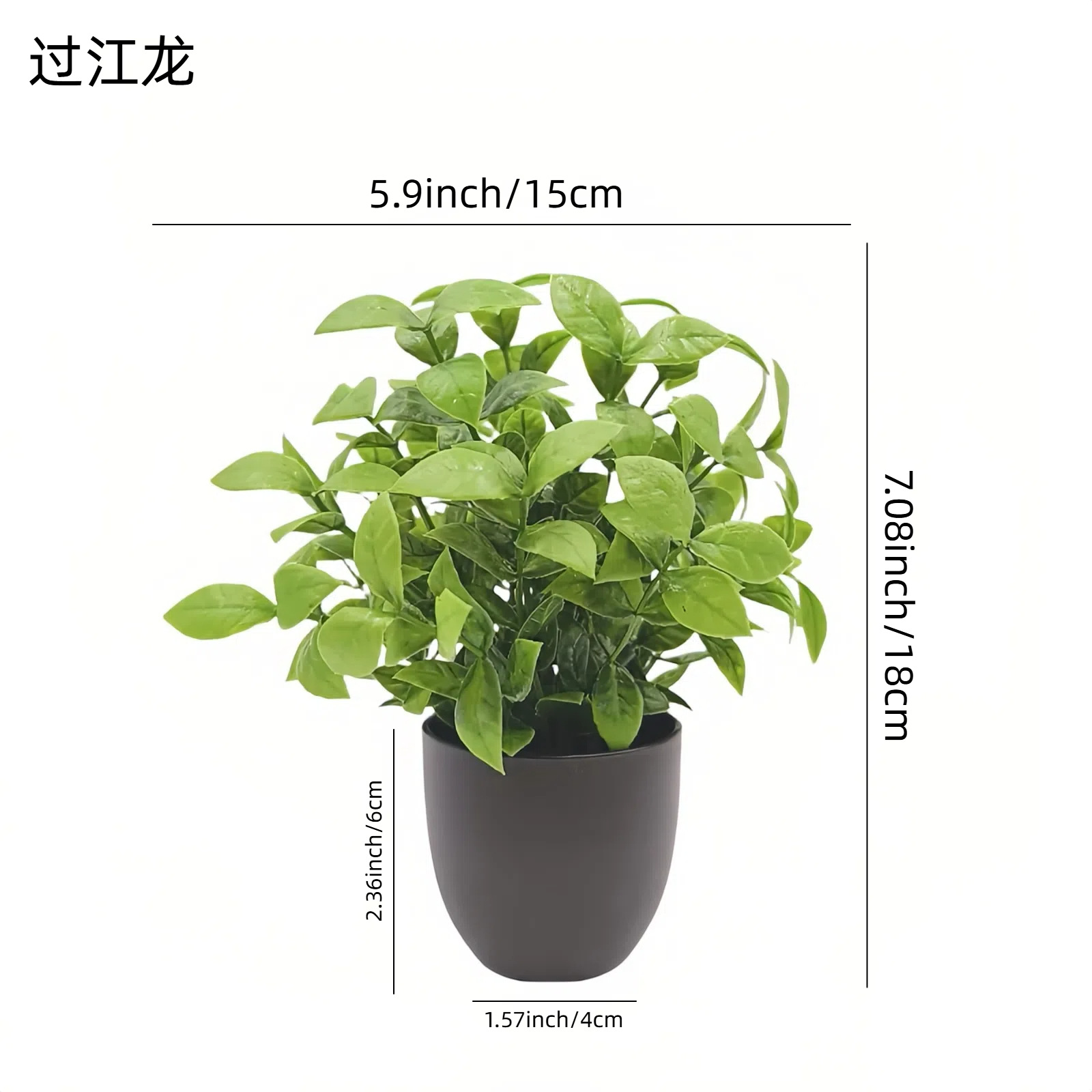 Bonsái de Planta Verde Simulad - Succulent Set reseña y precio