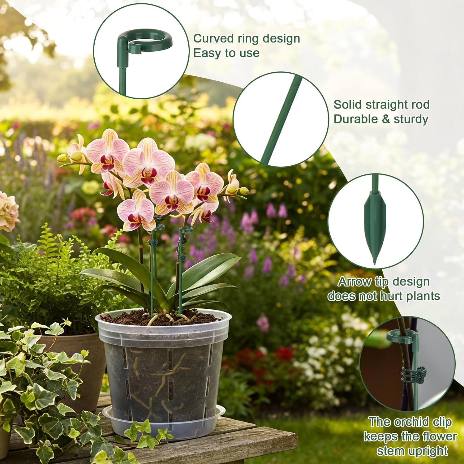 Estacas de Soporte para Planta - Plant Support Stake reseña y precio