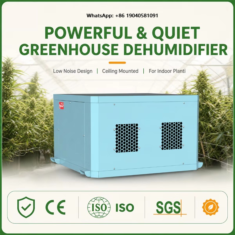 Potente deshumidificador para  - Indoor Plants reseña y precio