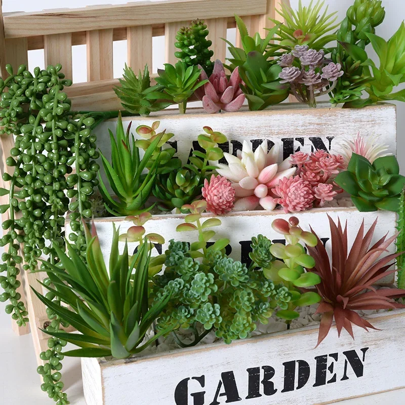 10/20 Piezas de Plantas Sucule - Snake Plant reseña y precio