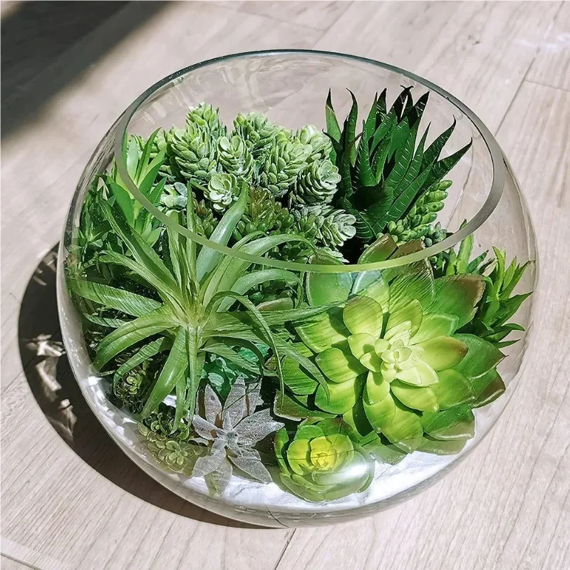 10/20 Piezas de Plantas Sucule - Snake Plant reseña y precio